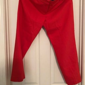 Express dress capris